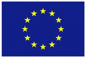 flag_yellow_low